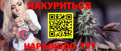 гашик Будённовск