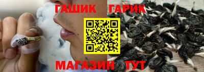 гашик Будённовск