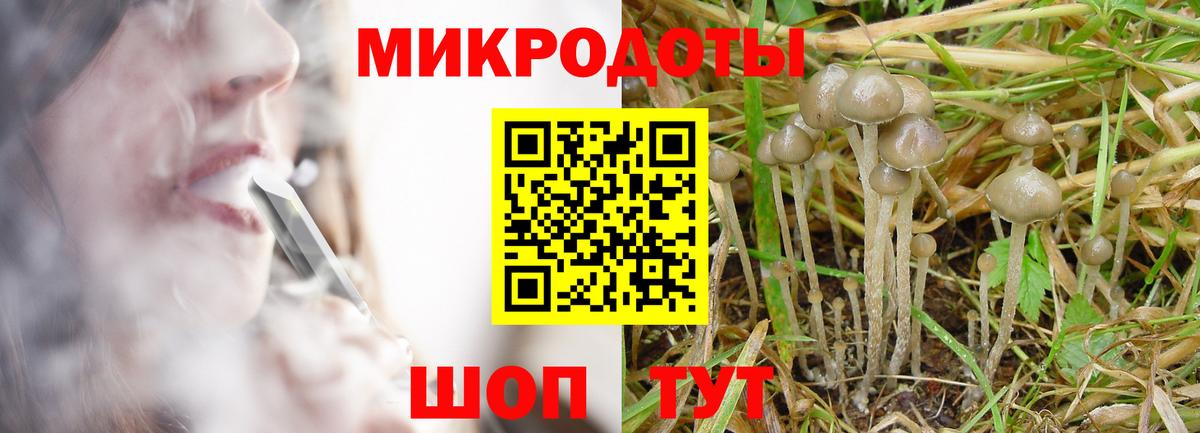 Пенза  Галлюциногенные грибы мухоморы  Галлюциногенные грибы прущие грибы  Вход с VPN 